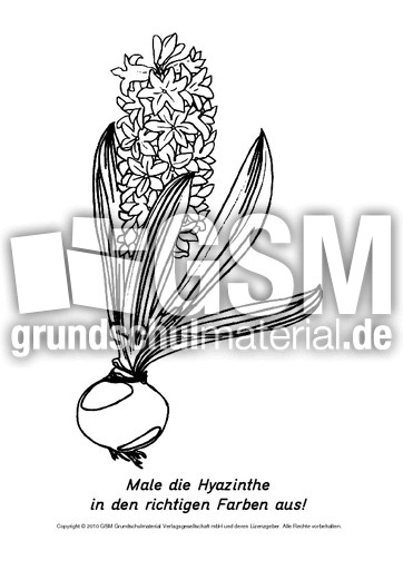 Frühlingsblüher-Ausmalbilder 23.pdf